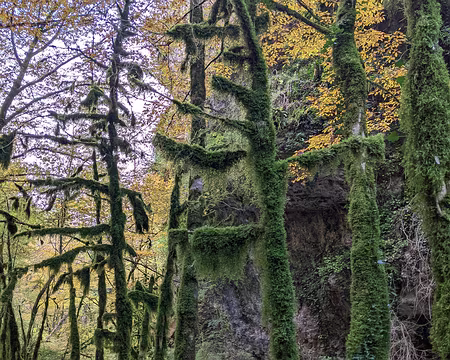 20211026-09h28m30s-PXL_20211026_072830511-V3