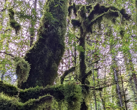 20211026-09h30m00s-PXL_20211026_073000845-V3