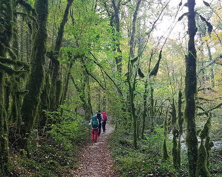 20211026-09h30m23s-20211026_093023-V3