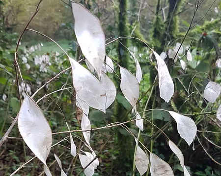 20211026-09h46m21s-20211026_094621-V3