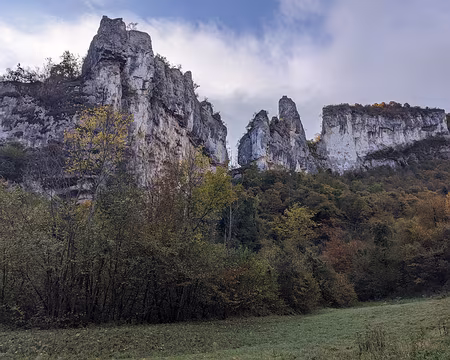 20211026-09h54m51s-PXL_20211026_075451220-V3