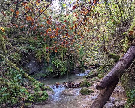 20211026-09h58m51s-PXL_20211026_075851506-V3