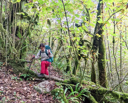 20211026-10h05m12s-PXL_20211026_080512984-V3