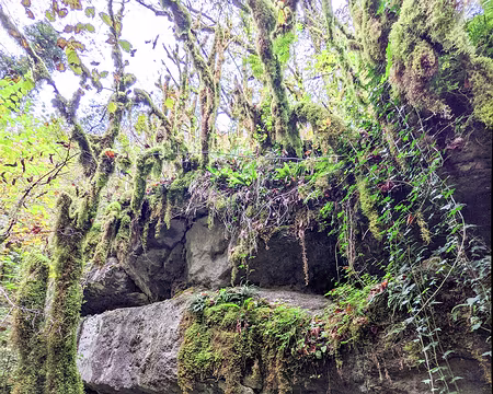 20211026-10h06m03s-PXL_20211026_080603714-V3