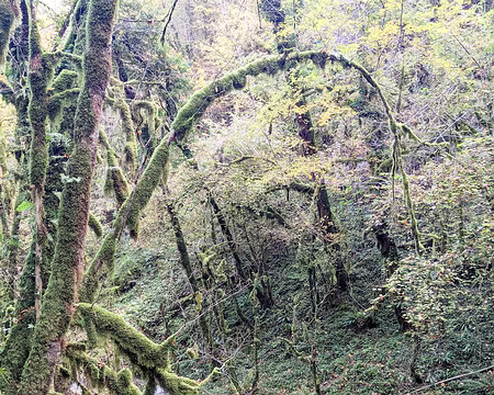 20211026-10h10m56s-PXL_20211026_081056311-V3