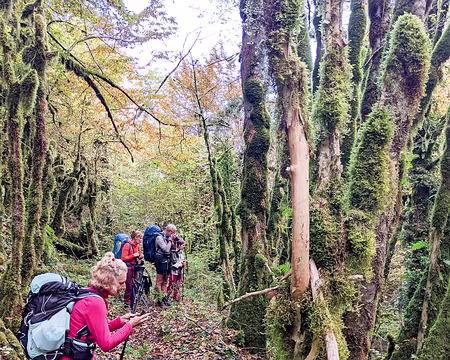 20211026-10h11m01s-PXL_20211026_081101181-V3