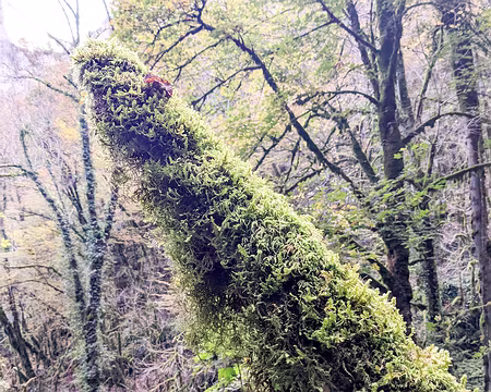 20211026-10h21m52s-PXL_20211026_082152172-V3