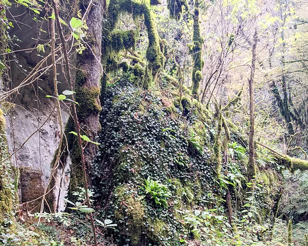 20211026-10h21m56s-PXL_20211026_082156490-V3