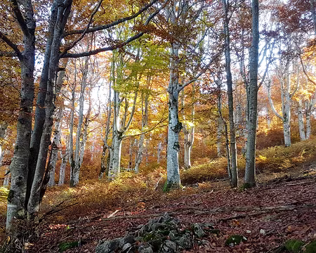 20211027-11h29m15s-20211027_112915-V3