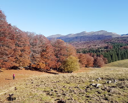 20211027-11h56m57s-20211027_115657-V3