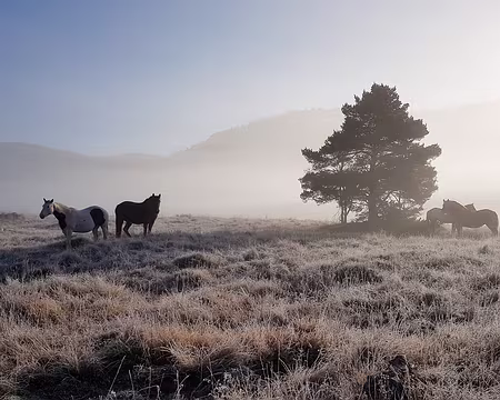 20211028-09h27m21s-20211028_092721-V3