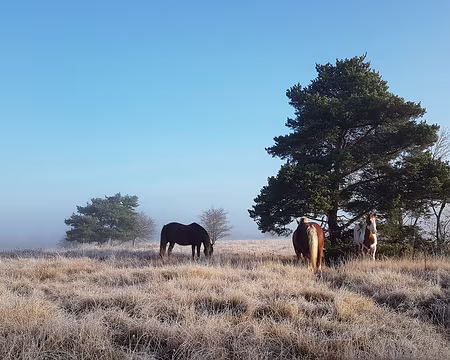 20211028-09h28m37s-20211028_092837-V3