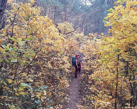 20211029-11h40m06s-20211029_114006-V3