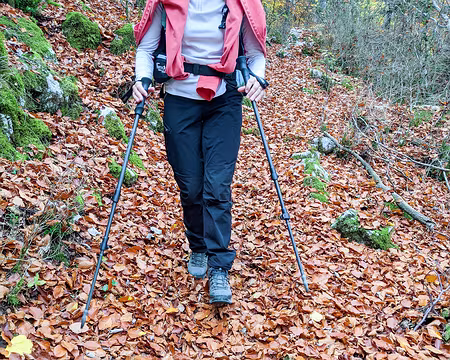 20211029-12h42m10s-PXL_20211029_104210892-V3