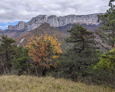 20211029-12h56m18s-PXL_20211029_105618702-V3