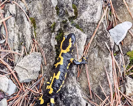 20211030-15h23m35s-PXL_20211030_132335132-V3