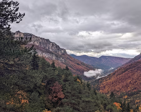 20211031-09h02m30s-PXL_20211031_080230957-V3