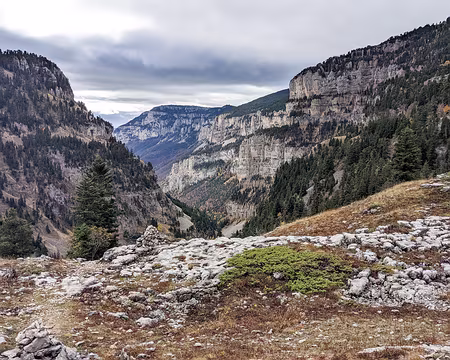 20211031-10h58m18s-PXL_20211031_095818579-V3