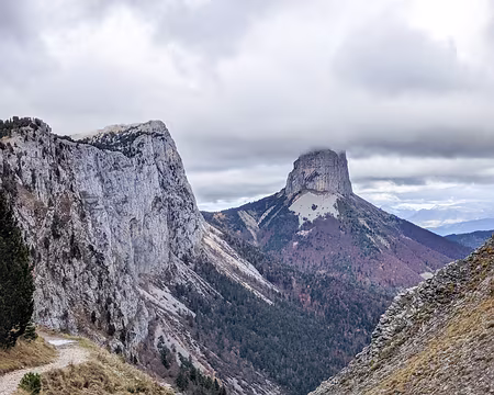 20211031-14h16m39s-PXL_20211031_131639644-V3