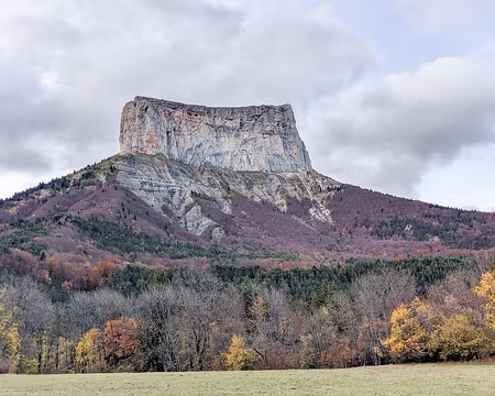 20211031-16h25m13s-PXL_20211031_152513263-V3