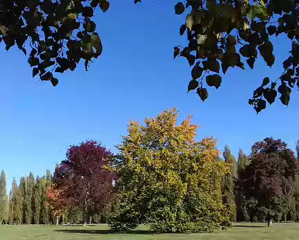 001 Le parc de Versailles en automne