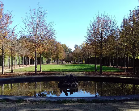 018 Le Parterre bas et son bassin