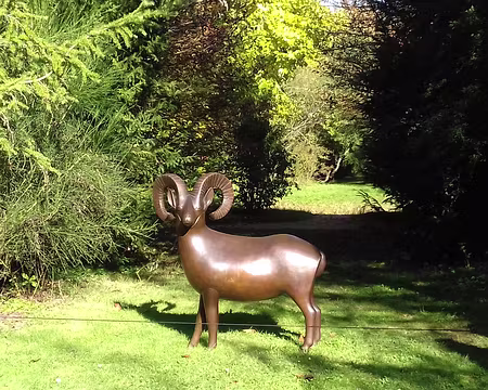 033 »Mouflon de Ram Island» (François-Xavier Lalanne)