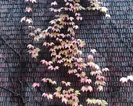 P1290466 Officiellement, pas une oeuvre !