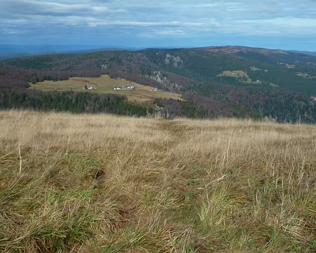 P1290503 On dort là-bas !