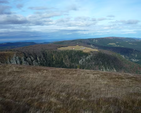 P1290504 Le refuge est au nord du Hohneck dans la clairière