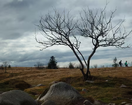 P1290514 Près du col de Falimont