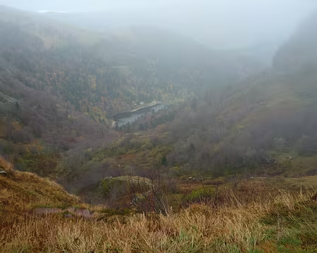 P1290529 le sujet de leur admiration