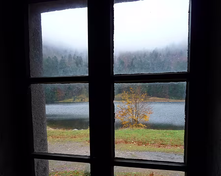 P1290539 Confortable abri forestier, AVEC FEU ALLUME pour le pique-nique !