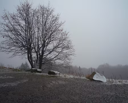 P1290556 Mardi 2 novembre : la neige est là
