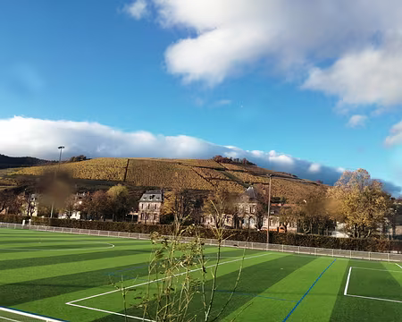 P1290579 Terre de contraste