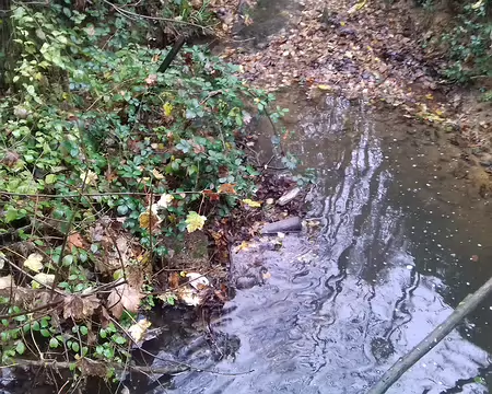 013 Le Ruisseau du Fond des Aulnes