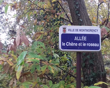 020 Le Chêne et le Roseau