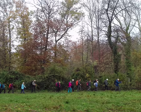 027 Le groupe à la lisière de la forêt