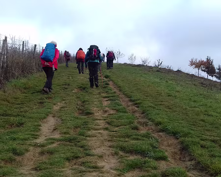 032 Montée vers le plateau d’Andilly (altitude 175 m) pour une vue à 360°