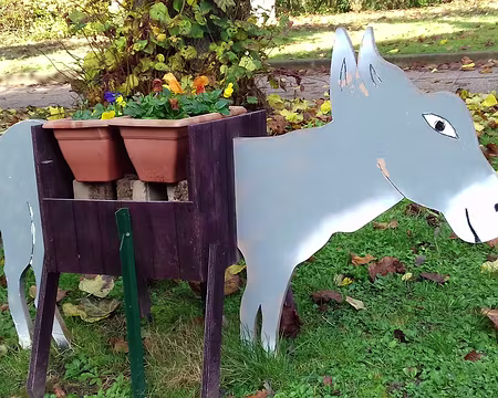 037 Âne bâté à Domont