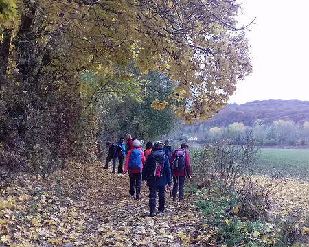 040 Retour vers Ecouen par le Chemin du Luat (GR655). Fin de la première boucle