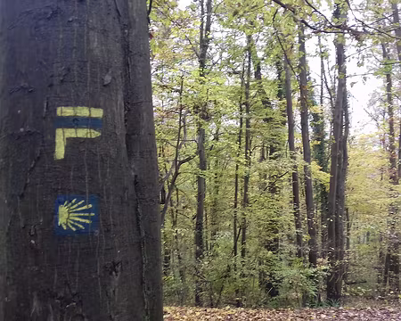 041 Le Chemin de Saint-Jacques (Via turonensis) dans la forêt d’Ecouen