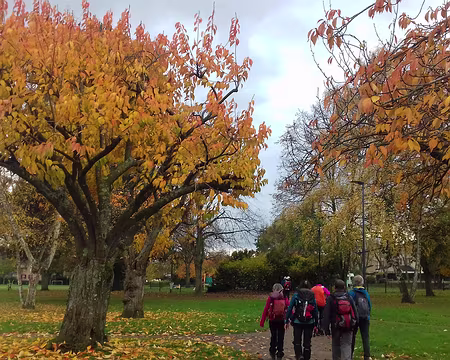 046 Saint-Brice-sous-Forêt. Merci Nicole et Bernard pour cette belle randonnée automnale