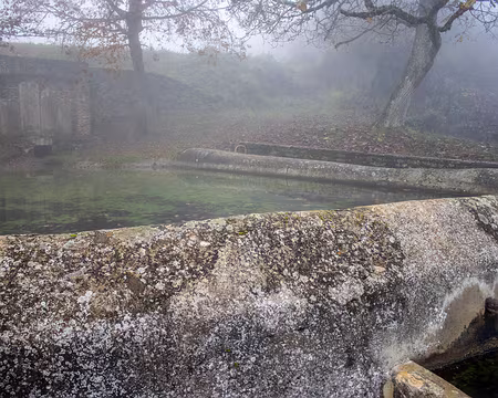 19-img_1887 Orches, fontaine aux chênes