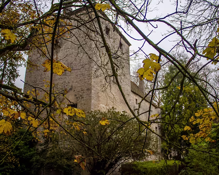 46-img_1914 Chateau de Gamay