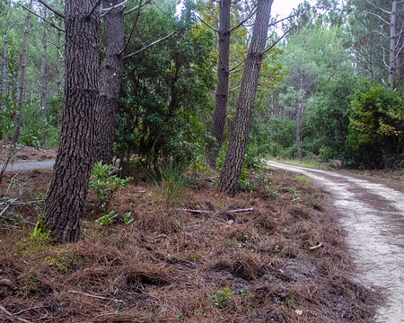 063-img_1837 En parallèle de la vélodyssée