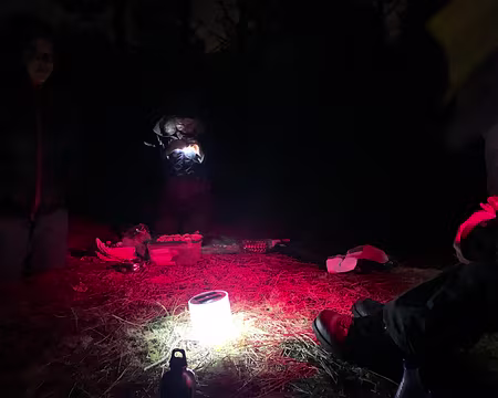 066c-IMG_3709 Pas de feu dans une forêt de résineux !