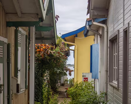 073-img_1850 L'Herbe