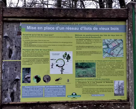 007 Îlots de vieux bois dans la forêt domaniale de Rambouillet