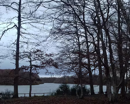 017 L’étang de la Tour (12 ha) fait partie du système hydraulique réalisé à partir de 1685 pour alimenter le parc de Versailles
